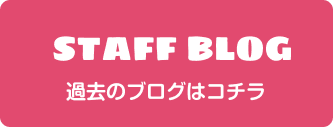 スタッフブログ